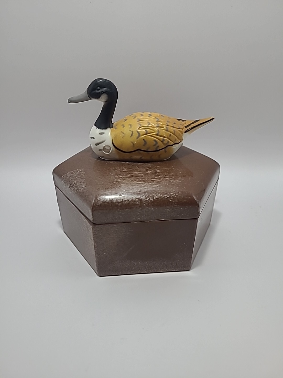 Unique Vintage Plastic Trinket Duck Container Unique Vintage Plastic Trinket Duck Container