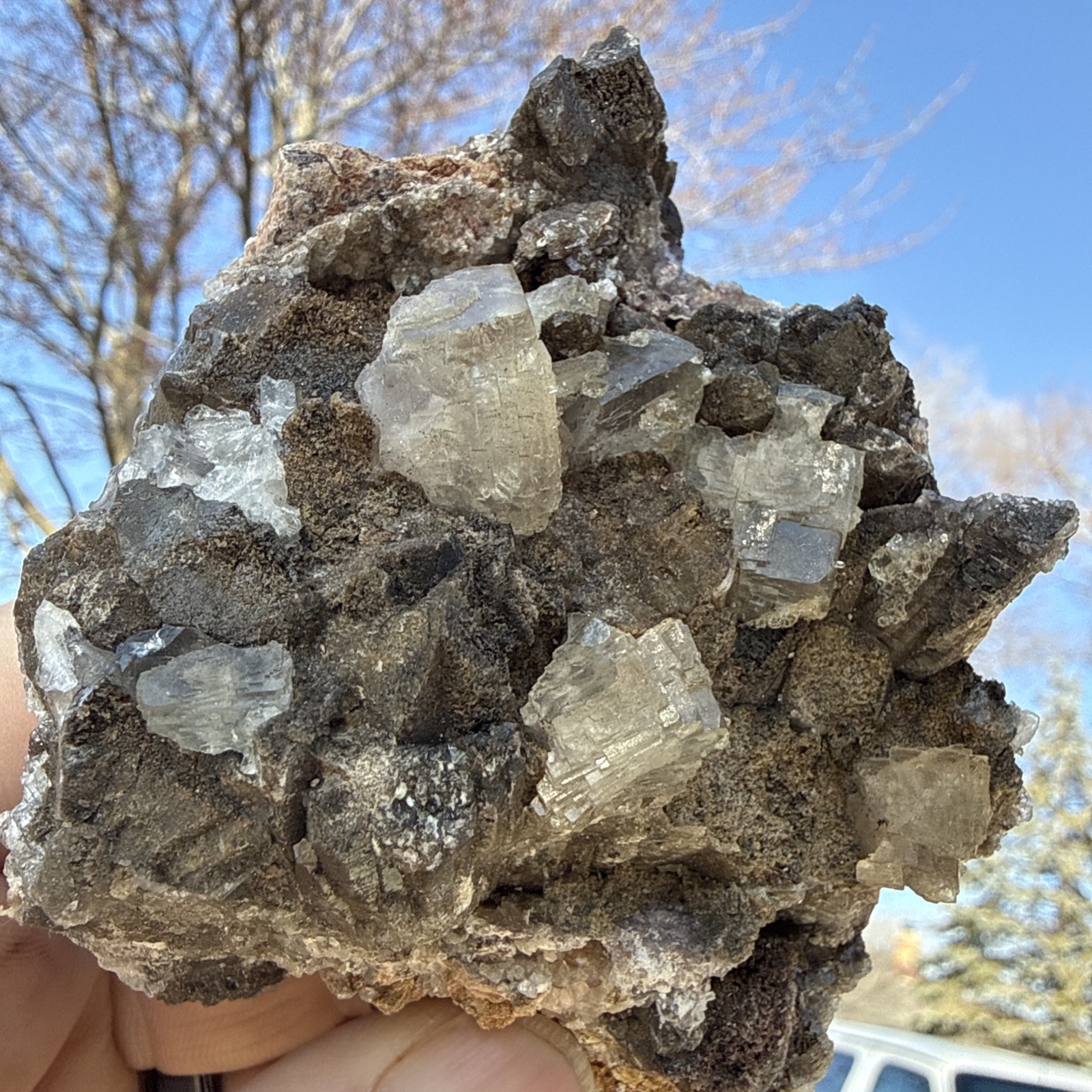 Natural Dogtooth Calcite W/ Cubic Fluorite  & Selenite Specimen UV Minerals 