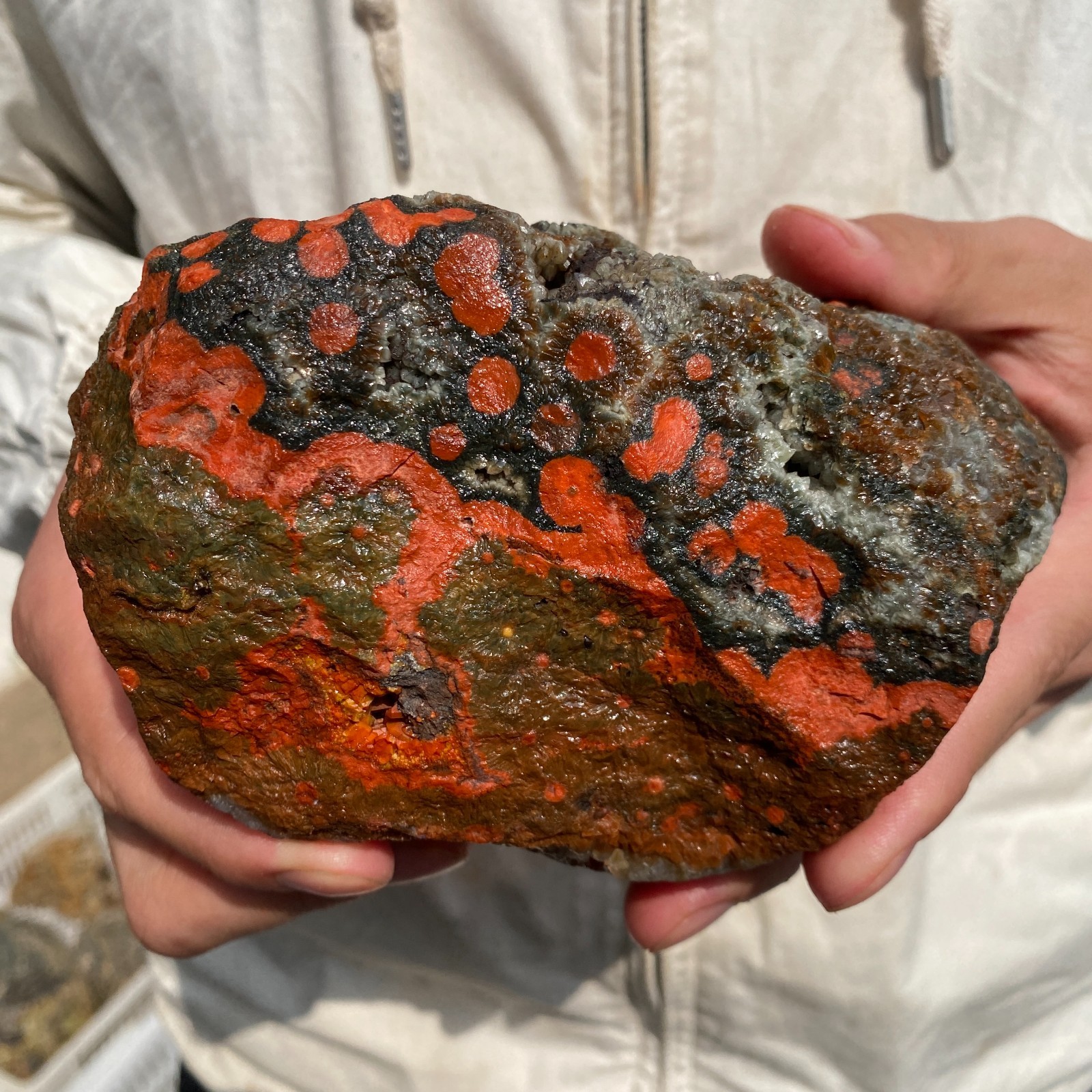 2.4lb Rare Natural ocean jasper Crystal Rough rocks specimen mineral Healing