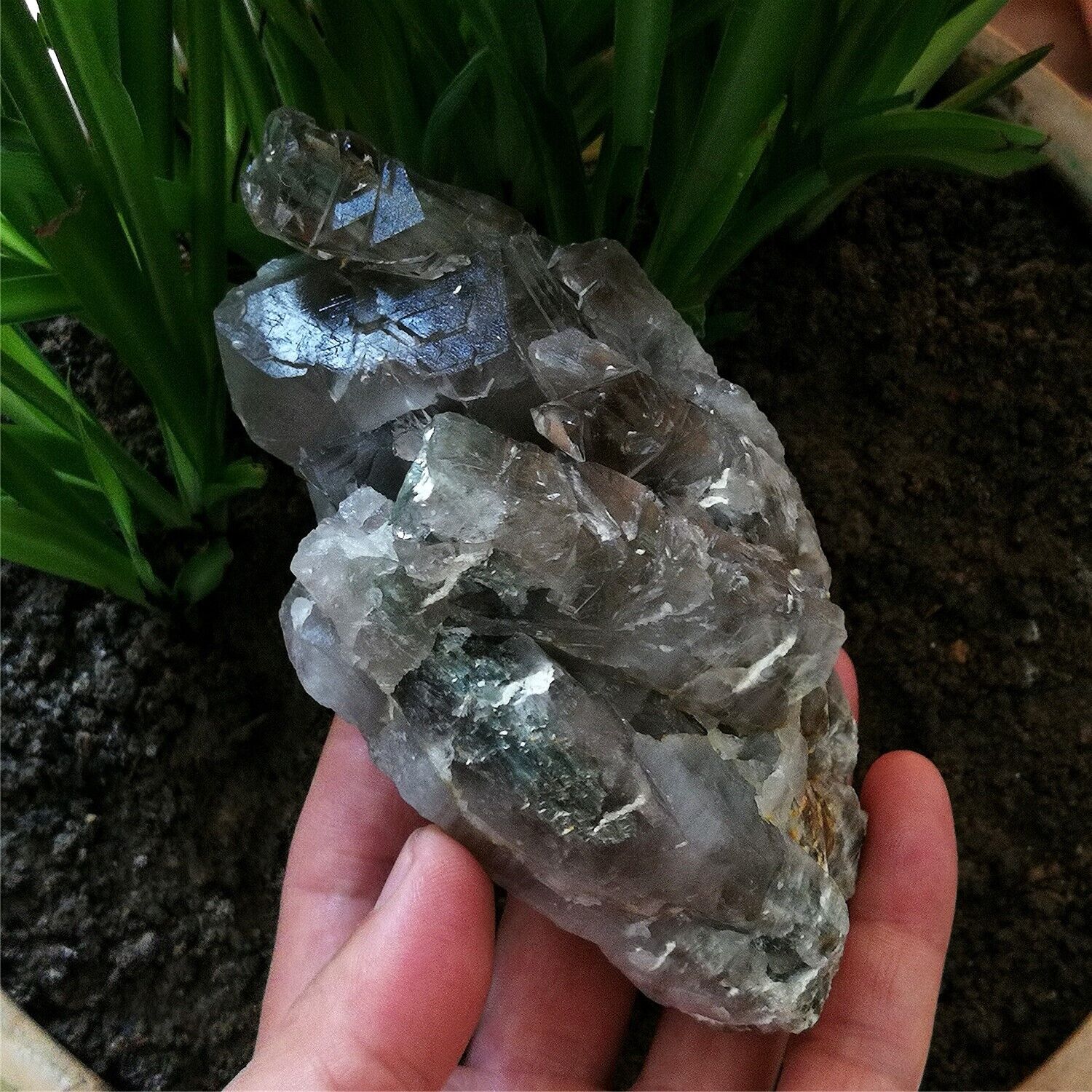 503g Big Amazing Ghost Quartz Natural Mystical Cutted & Marked By Nature Forces