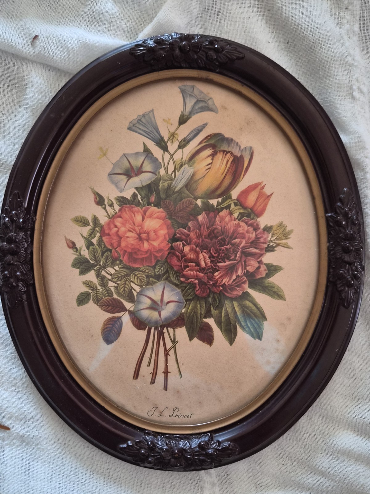 Antique Botanical Flower Print In Oval Frame Antique Botanical Flower Print In Oval Frame