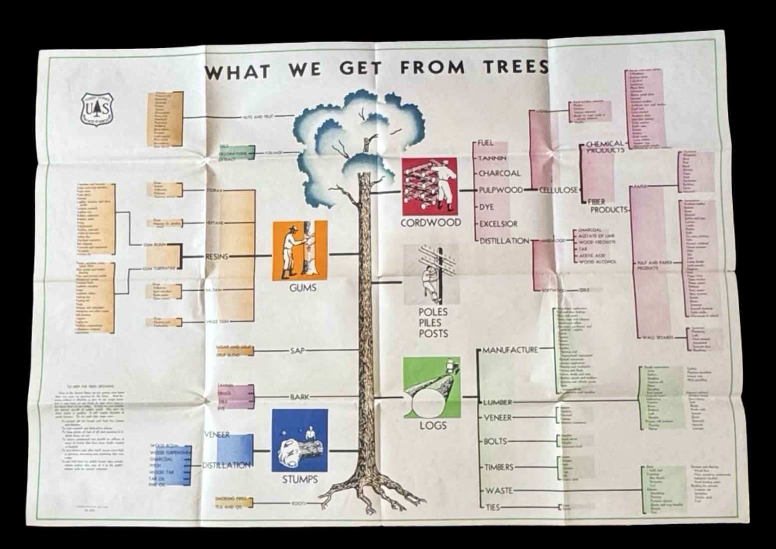 Vintage 1946 USDA Poster “What We Get From Trees” M-5293 Forest  Service 1st Ed