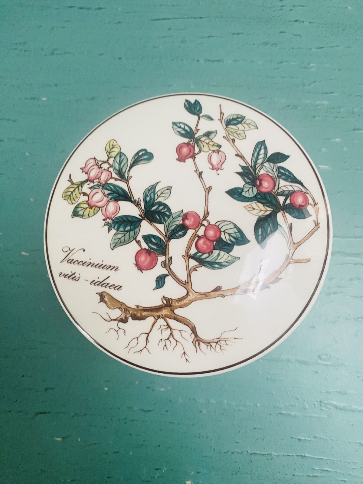 Villeroy & Boch Botanica Vitro Porcelaine Trinket Box w Lid Luxembourg Mint 1748 Villeroy & Boch Botanica Vitro Porcelaine Trinket Box w Lid Luxembourg Mint 1748