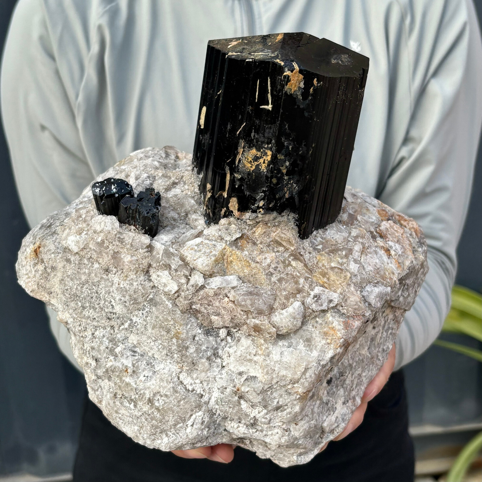 16.64LB Large Natural Black Tourmaline Crystal Gemstone Rough Mineral Specimen