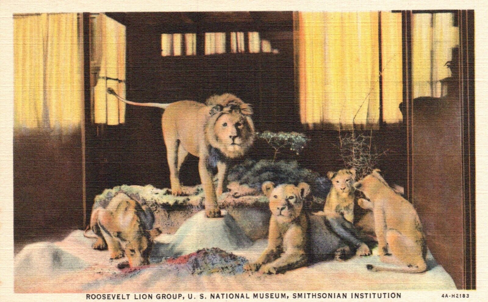 Postcard Washington DC Roosevelt Lion Group Smithsonian 1934 Vintage PC H5961
