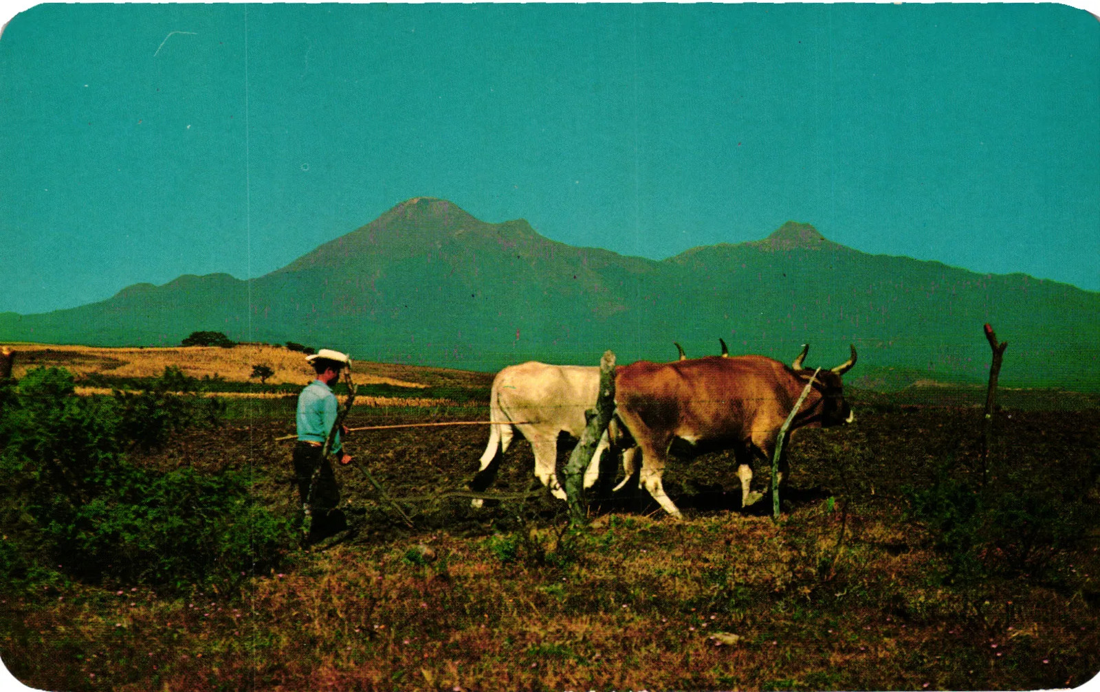 Vintage Postcard- Cultivo de Tierra. Al fondo el Volcán Colima Vintage Postcard- Cultivo de Tierra. Al fondo el Volcán Colima