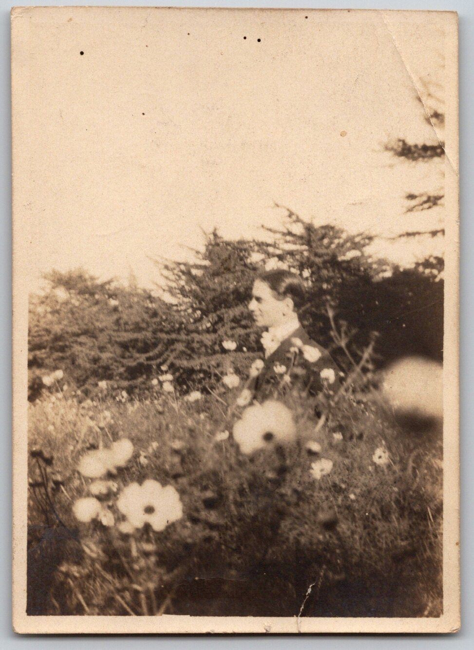 Man in Garden 1920s Snapshot Photograph Flowers Outdoor Candid Portrait Man in Garden 1920s Snapshot Photograph Flowers Outdoor Candid Portrait