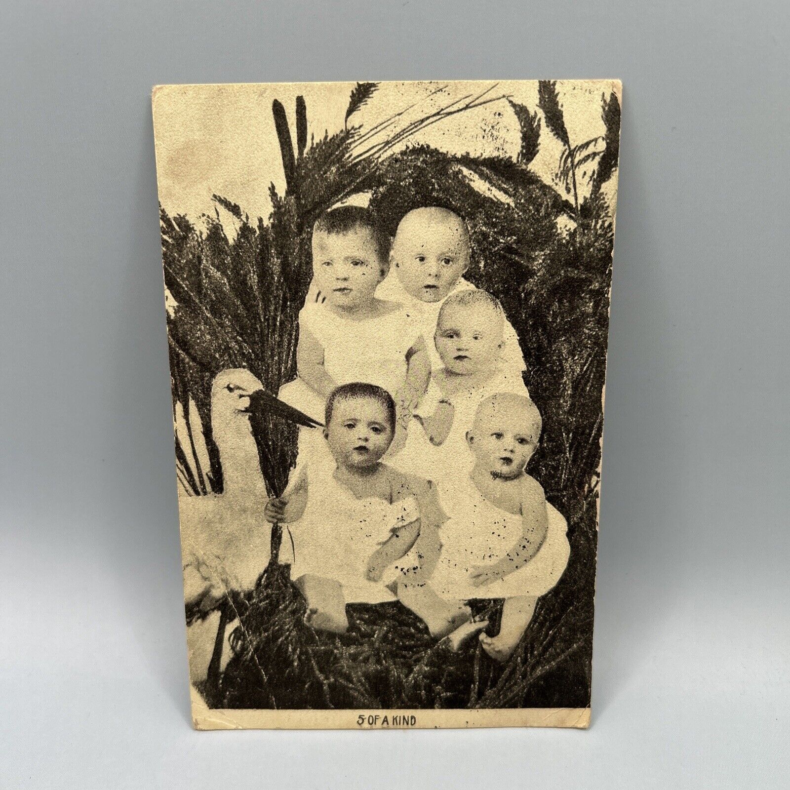 Antique Postcard 5 Of A Kind 5 Babies With Stork 1911