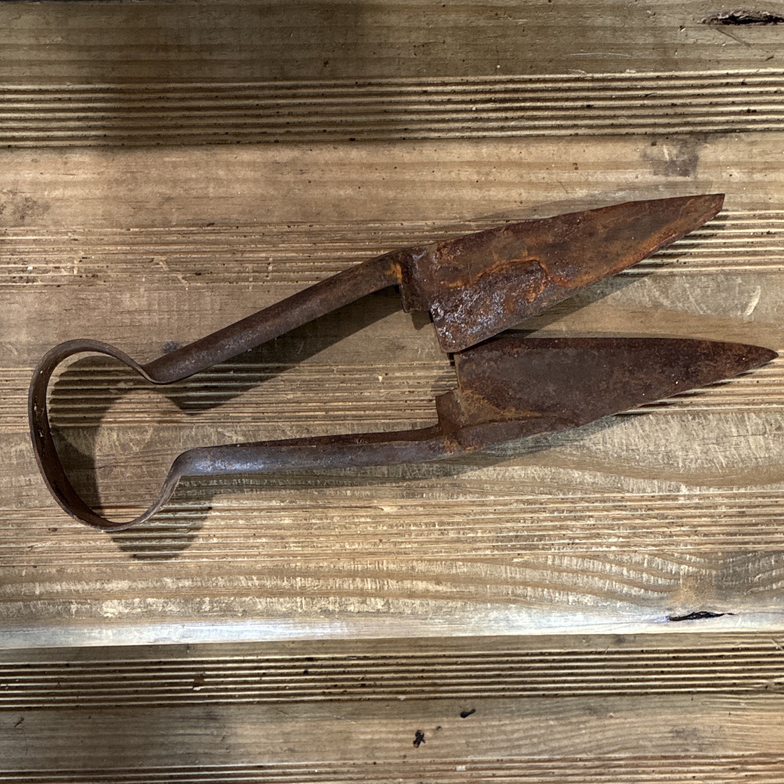 Vintage Rusty Rusted Metal Hand Sheep Shears Scissors Cutting Tool Shears