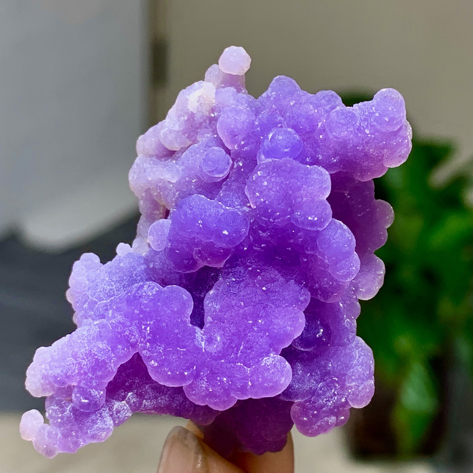 31G Natural purple grape agate quartz crystal granular mineral specimen-.