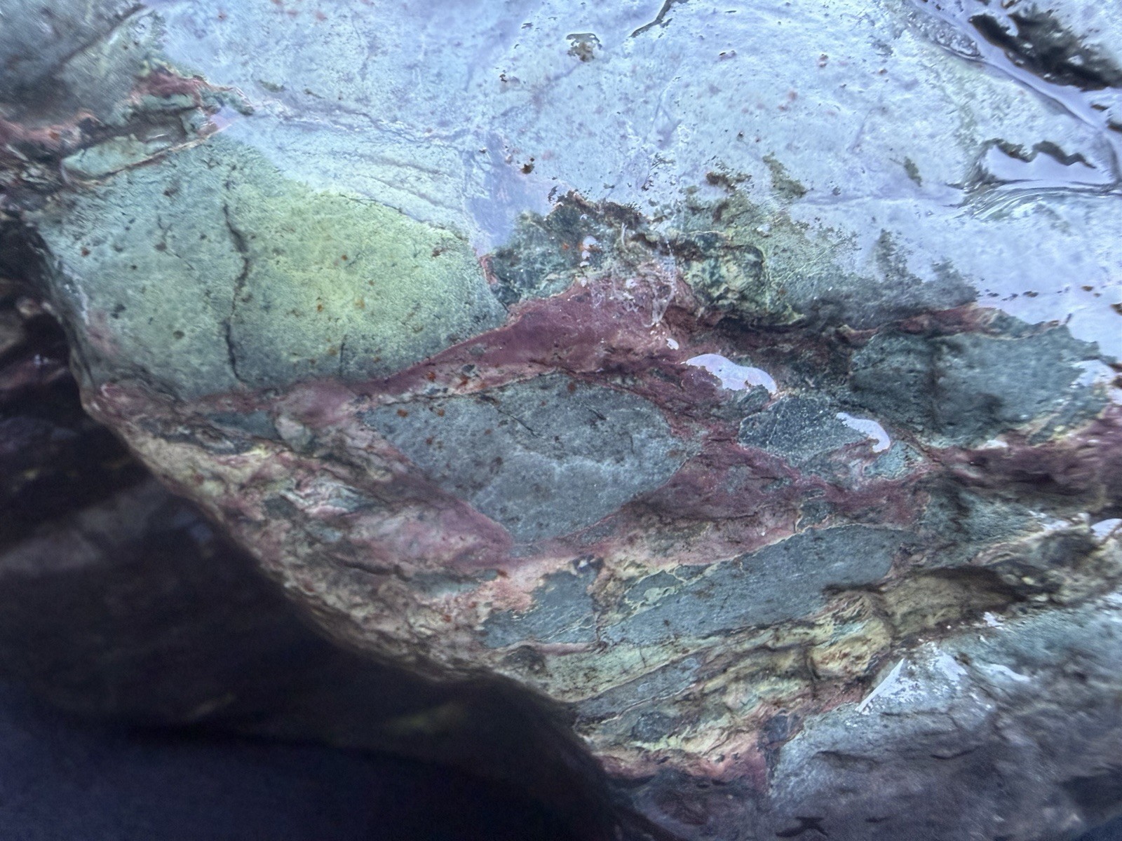 Large Natural Green Red Brecciated River Stone Rough Lapidary Display Specimen