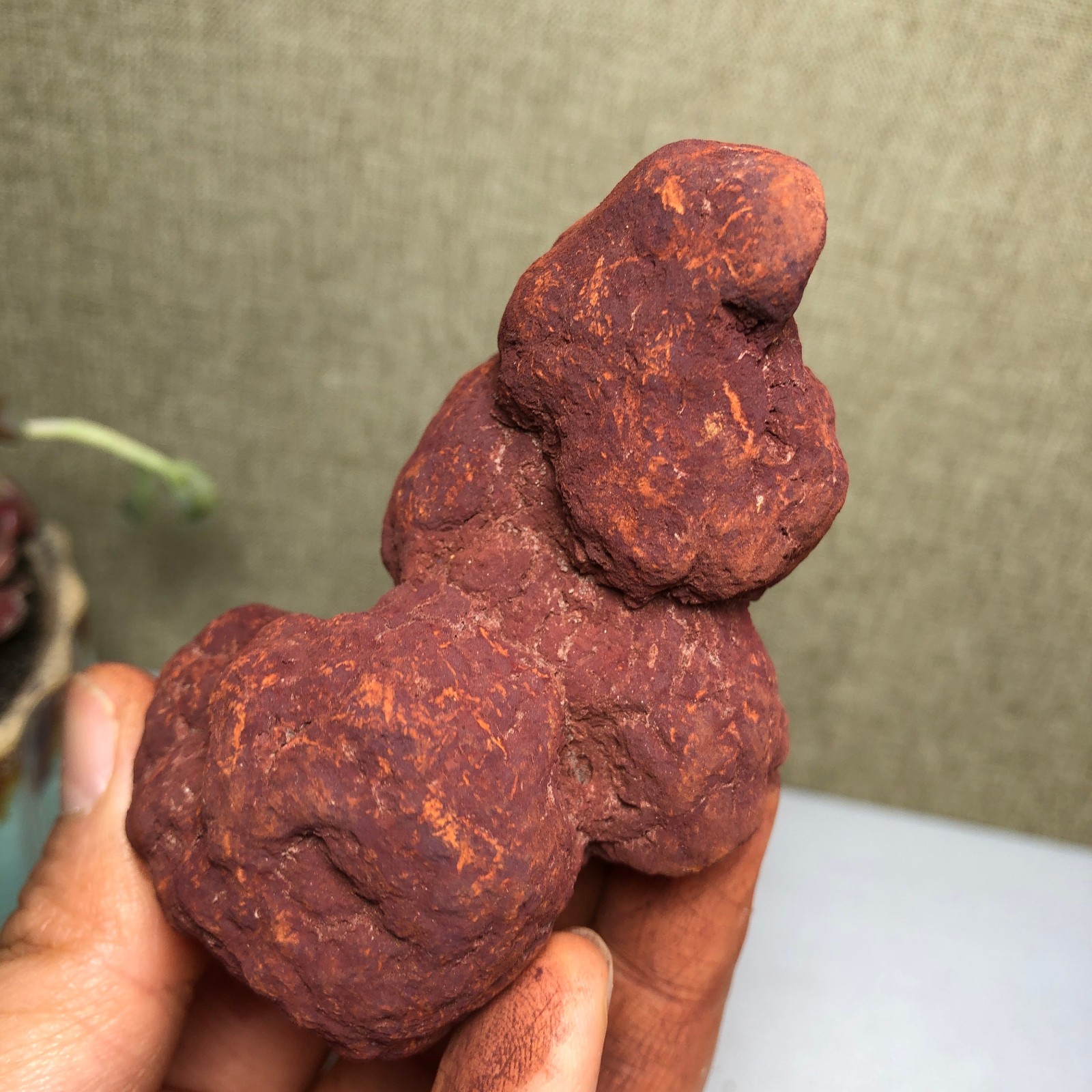 Top Best Rare Natural dinosaur dung coprolite Poop mineral specimen 160g A3204
