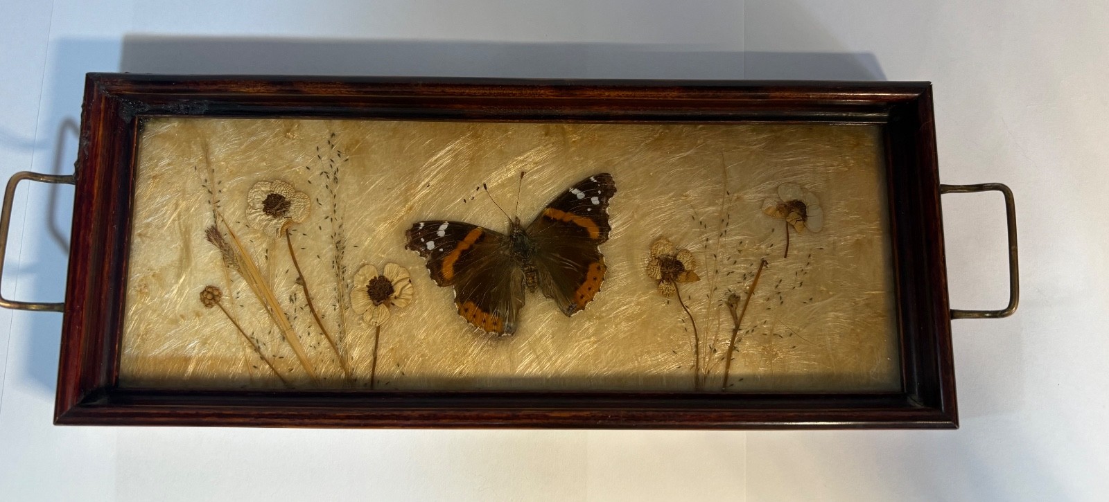 Real Butterfly Dried Flower Decorative Tray - Framed Botanical Display (11.5 Real Butterfly Dried Flower Decorative Tray - Framed Botanical Display (11.5
