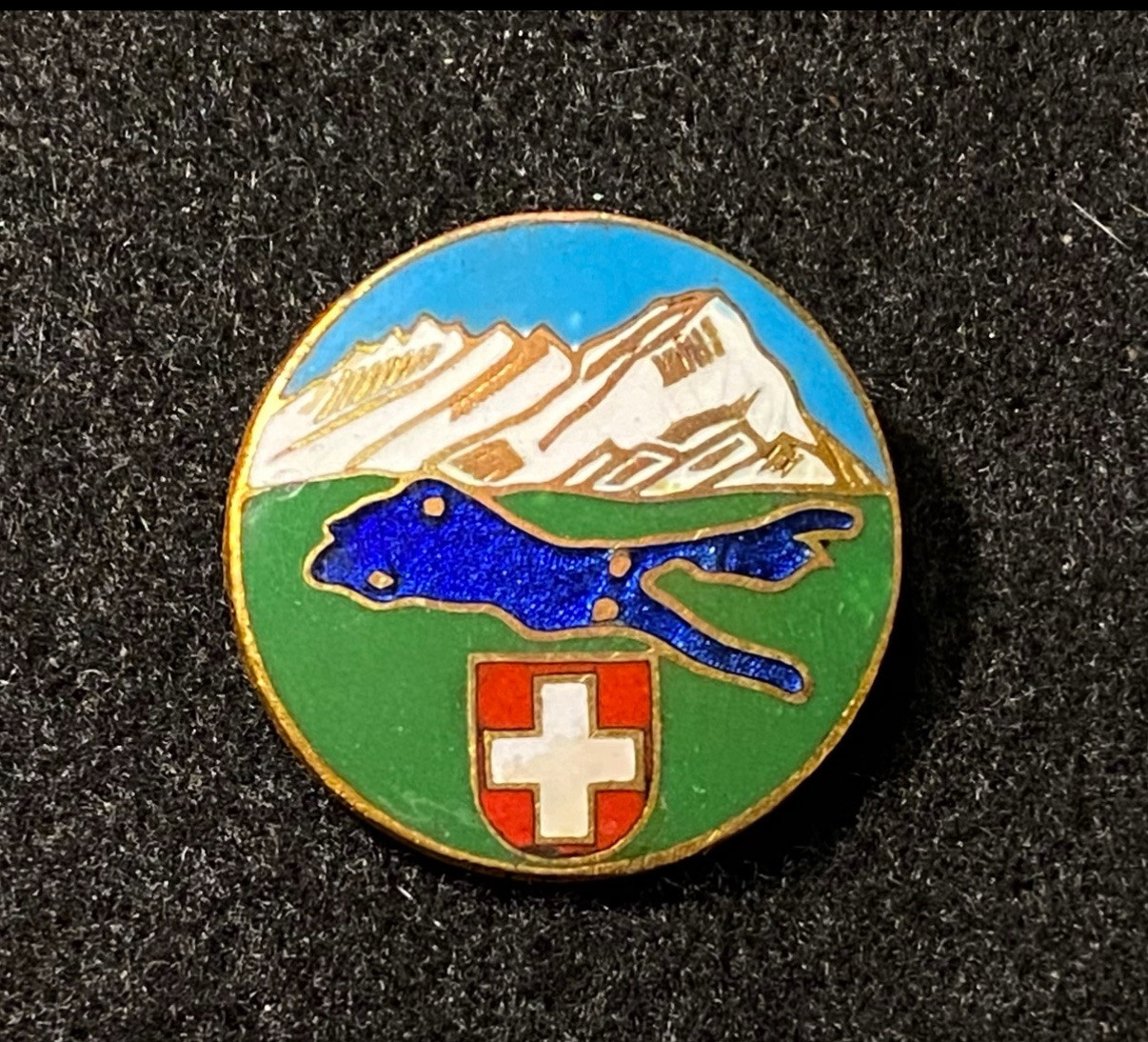LAKE CONSTANCE Vintage Pin Badge Bodensee SWITZERLAND Alps Resort Souvenir LAKE CONSTANCE Vintage Pin Badge Bodensee SWITZERLAND Alps Resort Souvenir