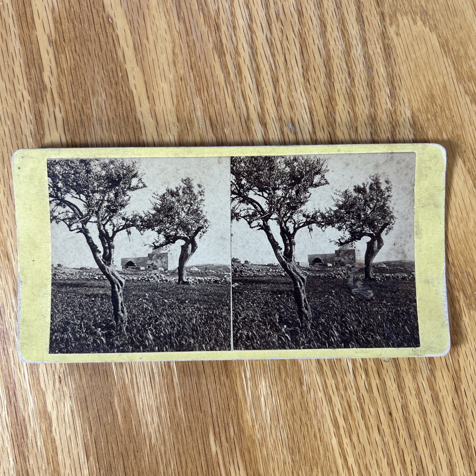 Antique Stereoscope Cards Bible Bethlehem Tomb Rachel Olive Trees Stereograph Antique Stereoscope Cards Bible Bethlehem Tomb Rachel Olive Trees Stereograph