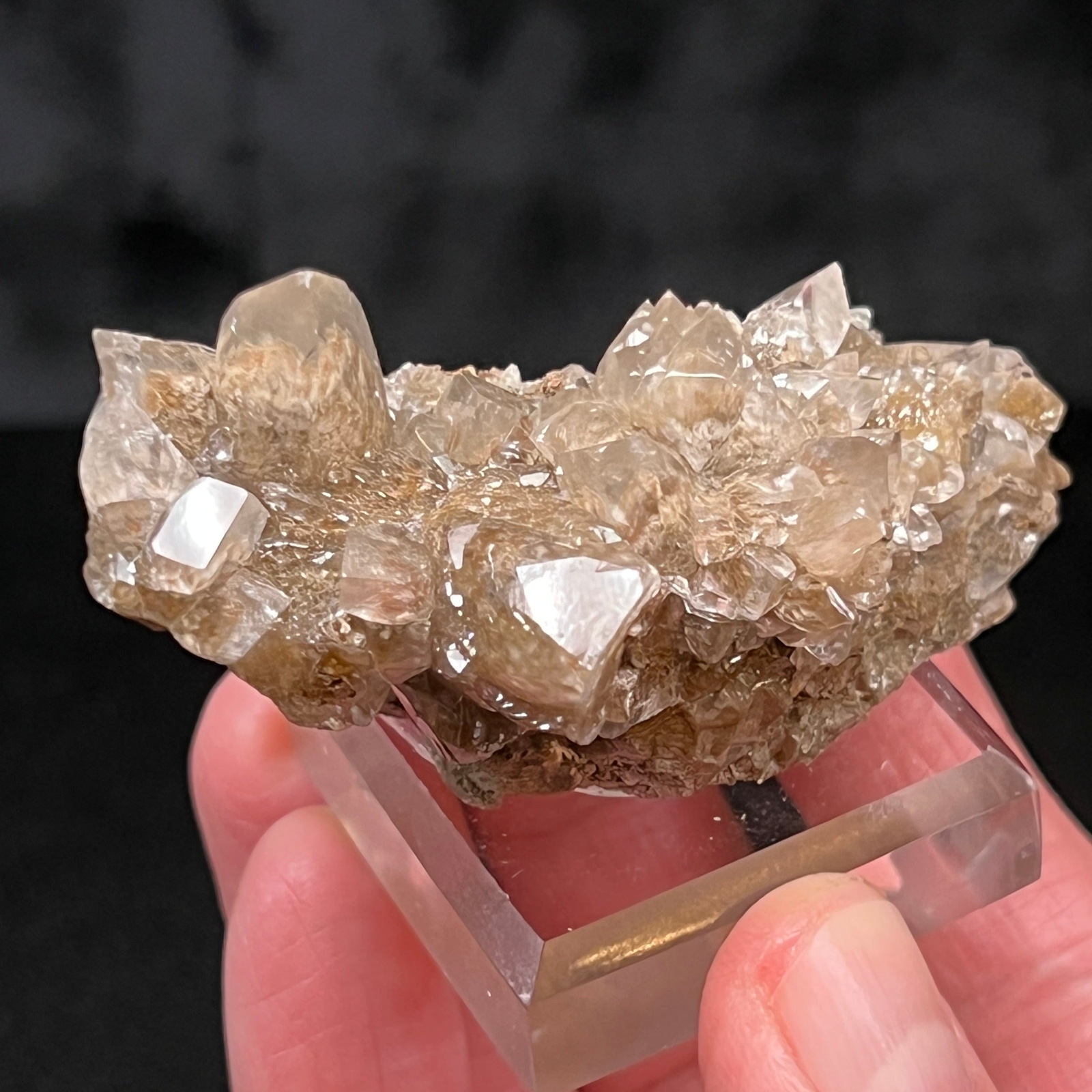Calcite Todorokite Inclusions Translucent Medford Quarry Maryland Calcite Todorokite Inclusions Translucent Medford Quarry Maryland