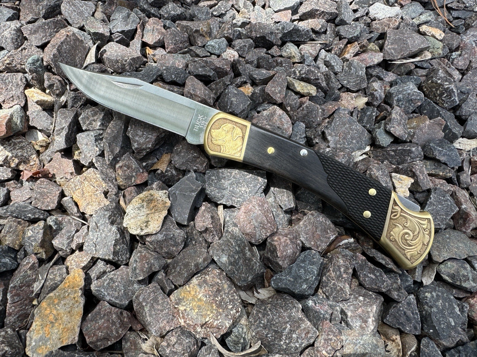【2025 NEW】Buck 110 Folding Hunter Knife Lab Labrador Dog Engraved By ALTAMONT
