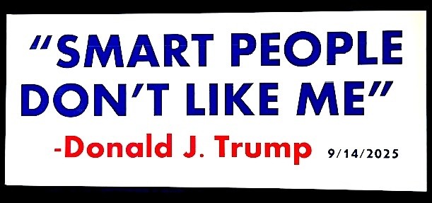 ANTI-TRUMP bumper sticker magnet decal: 