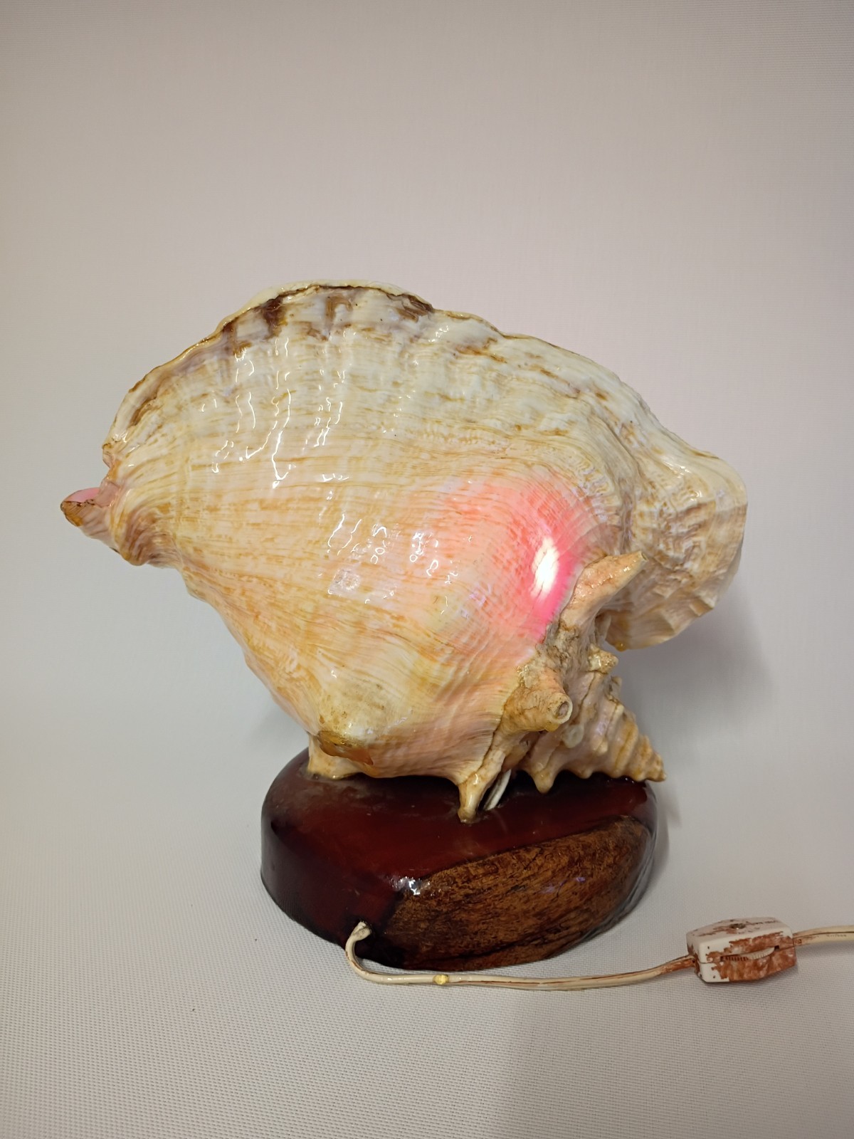 1950s vtg seashell TV lamp souvenir beach hawaiian art sculpture 1950s vtg seashell TV lamp souvenir beach hawaiian art sculpture