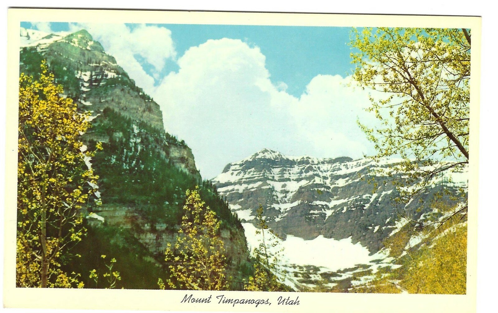 Mt. Timpanogos from Aspen Glen, Utah, Alpine Loop, c1930\'s Unused Postcard Mt. Timpanogos from Aspen Glen, Utah, Alpine Loop, c1930\'s Unused Postcard