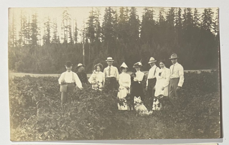 1904-18 Vintage RPPC Postcard~Summer Multi-Generation Group of Berry Pickers 1904-18 Vintage RPPC Postcard~Summer Multi-Generation Group of Berry Pickers