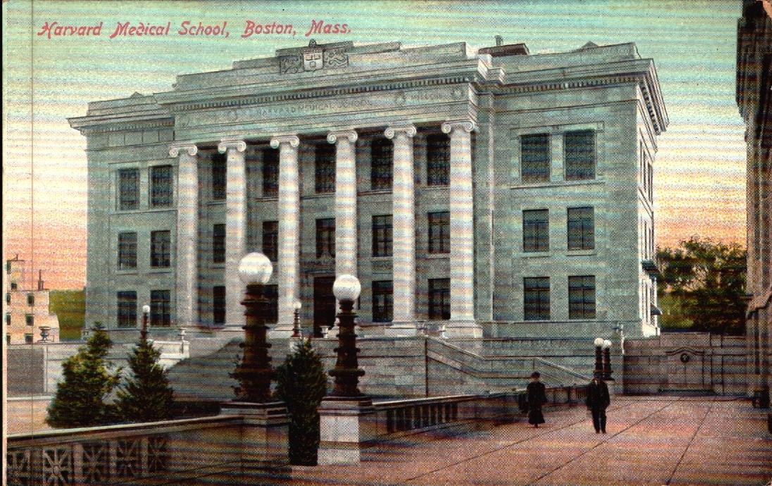 Antique Postcard Harvard Medical School Boston MA