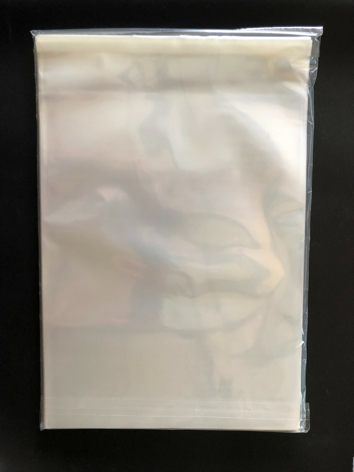 100 Resealable Book Bags 10 x 13 Archival Storage 2 Mil Acid Free 100 Resealable Book Bags 10 x 13 Archival Storage 2 Mil Acid Free