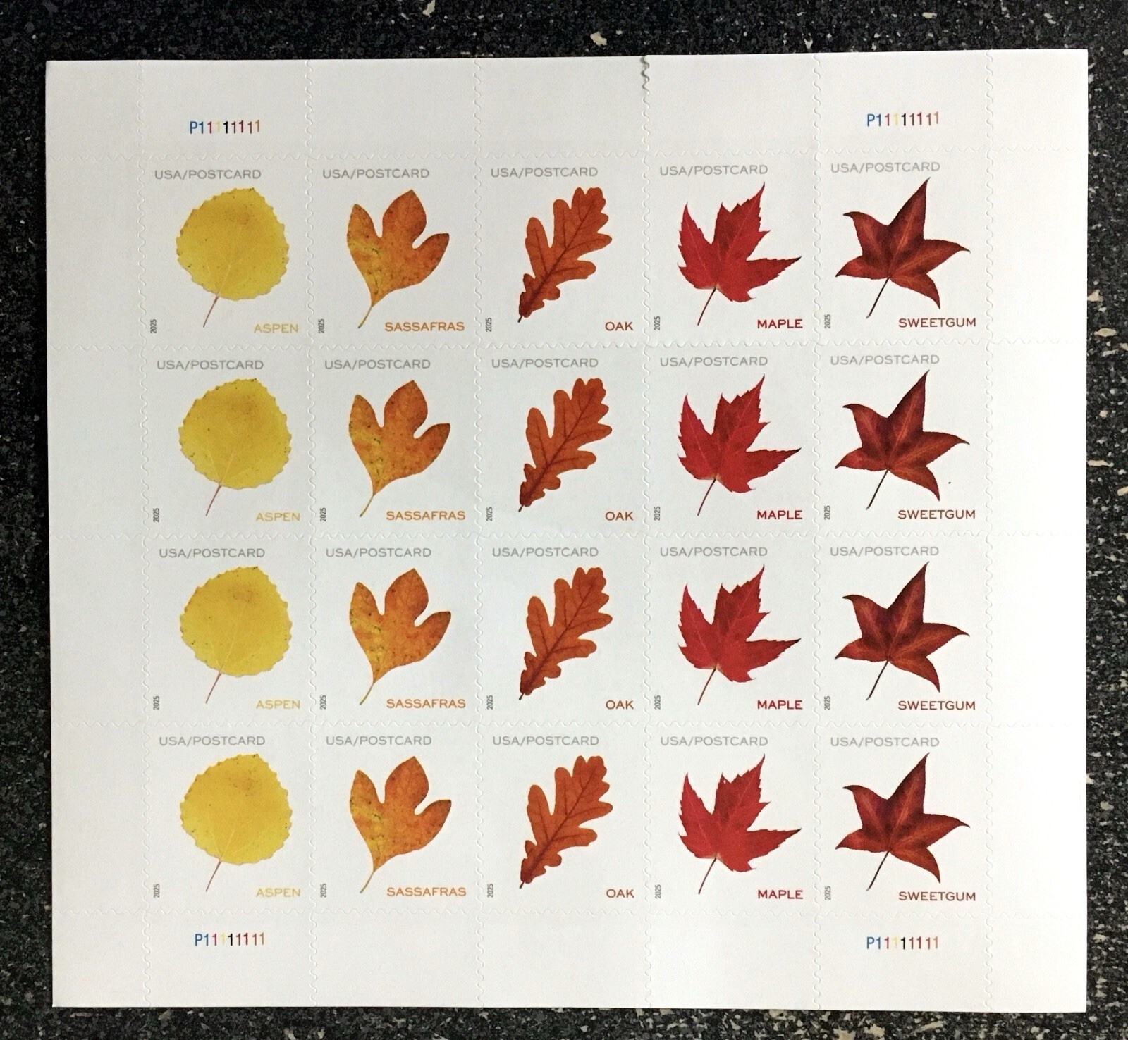 USPS Vibrant Leaves Postcard Sheet of 20 POSTAGE STAMPS USPS Vibrant Leaves Postcard Sheet of 20 POSTAGE STAMPS