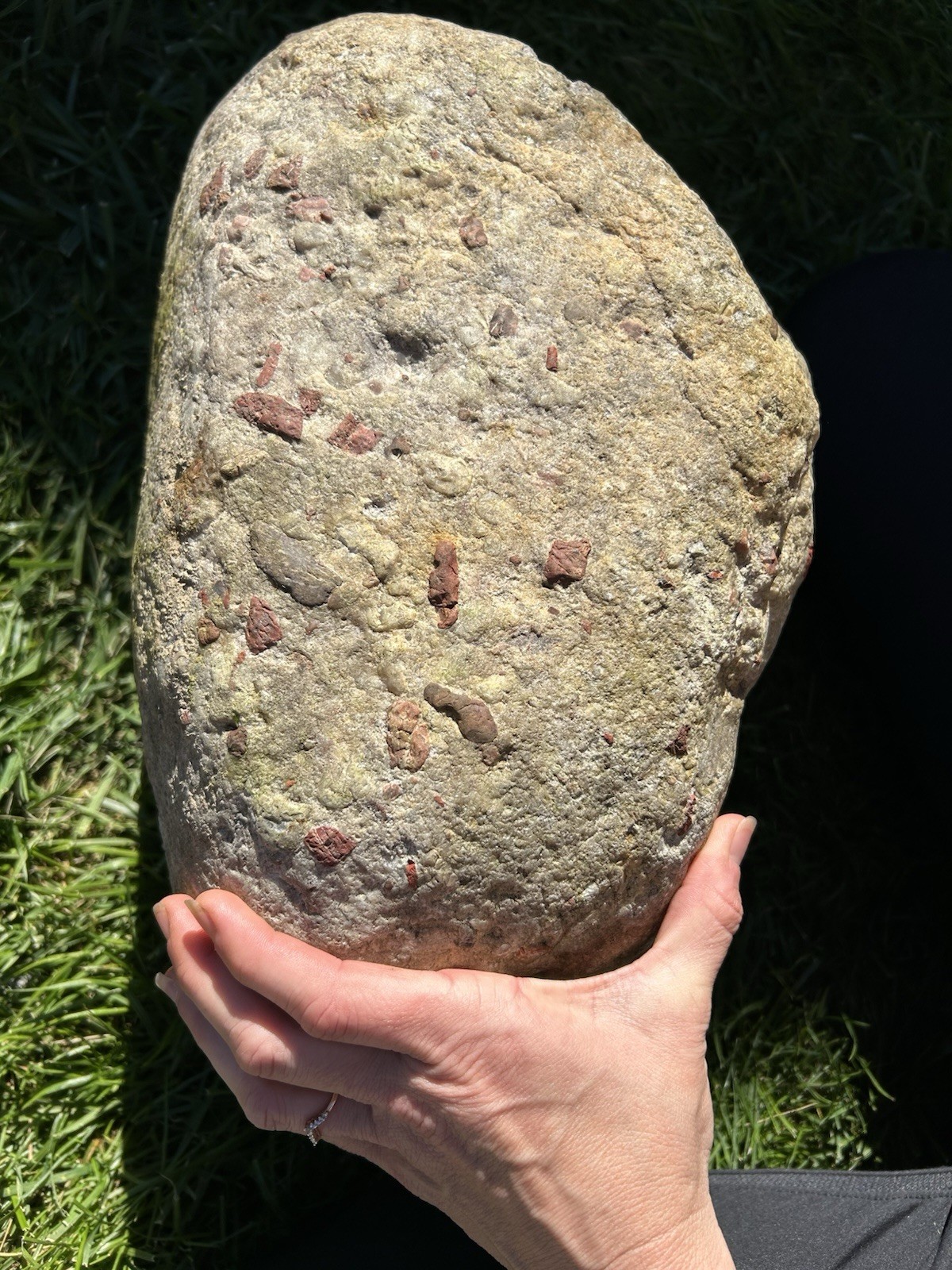 80lb HUGE Loaded Quartzite Lake Michigan Puddingstone New Pink Ish Undertones 80lb HUGE Loaded Quartzite Lake Michigan Puddingstone New Pink Ish Undertones