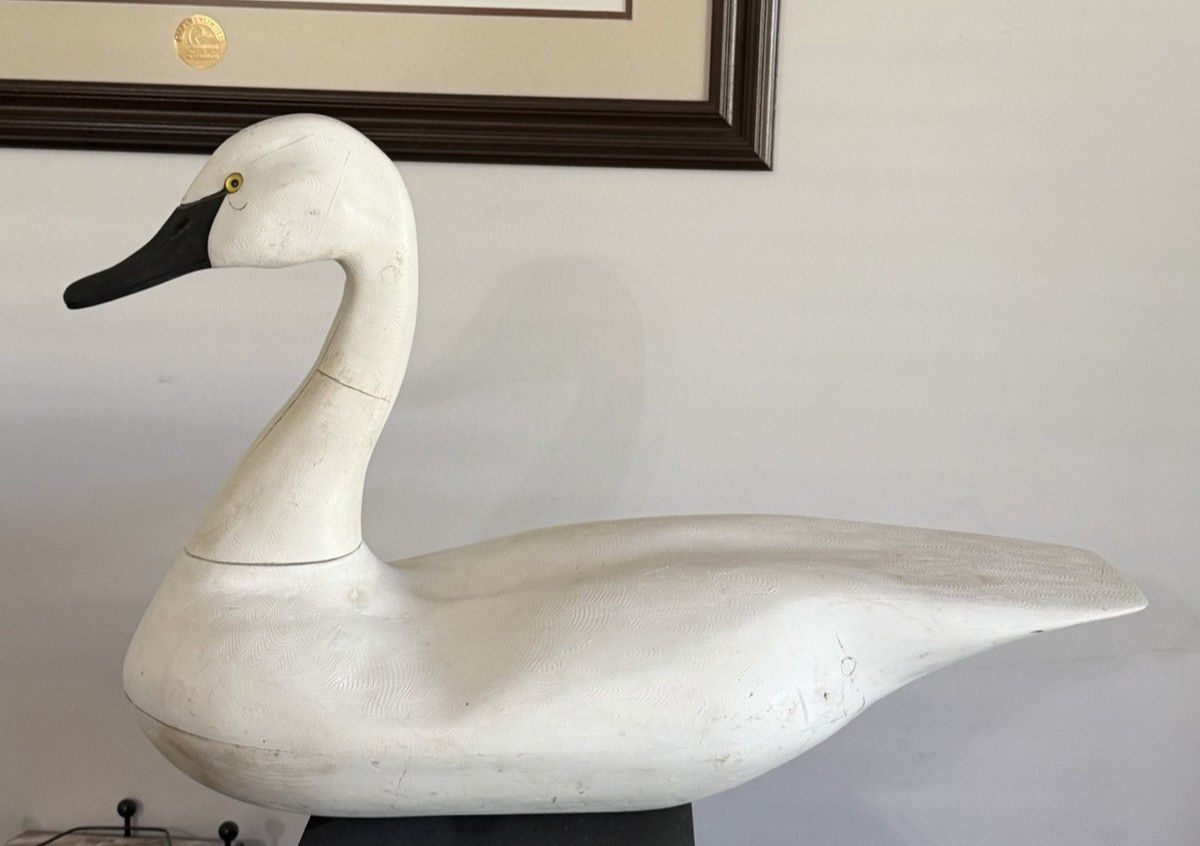 Vintage Large Hand Carved Wooden White Swan Decoy with Removable head Vintage Large Hand Carved Wooden White Swan Decoy with Removable head
