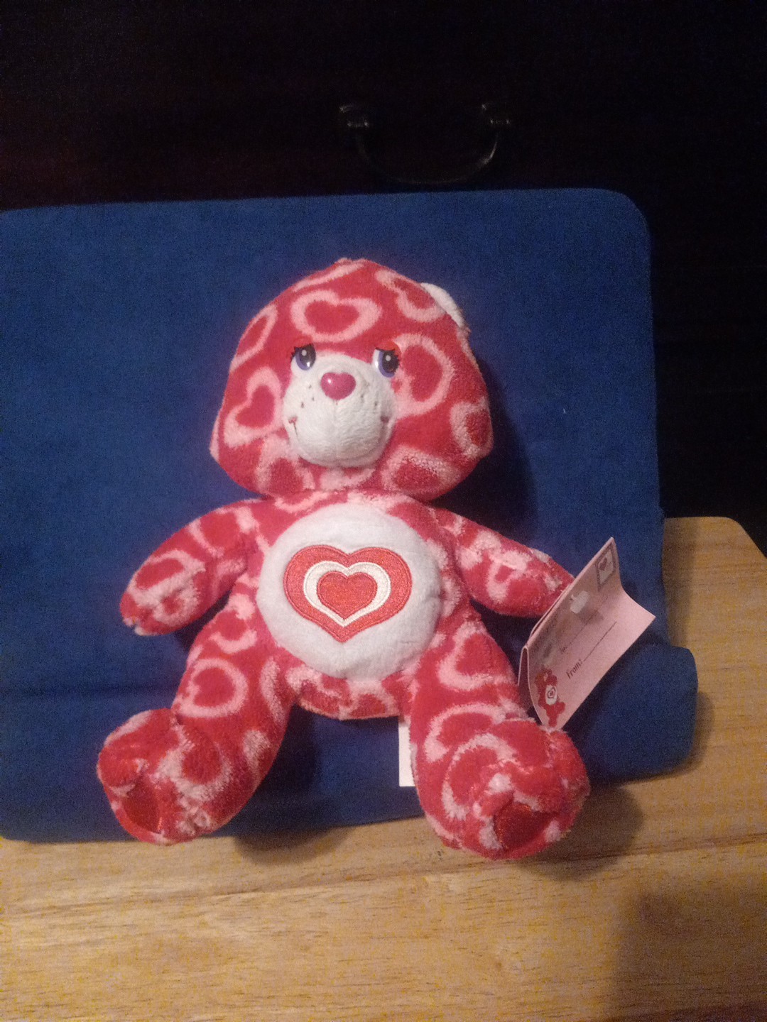 Valentines Care Bear ALL MY HEART 2006 Rare