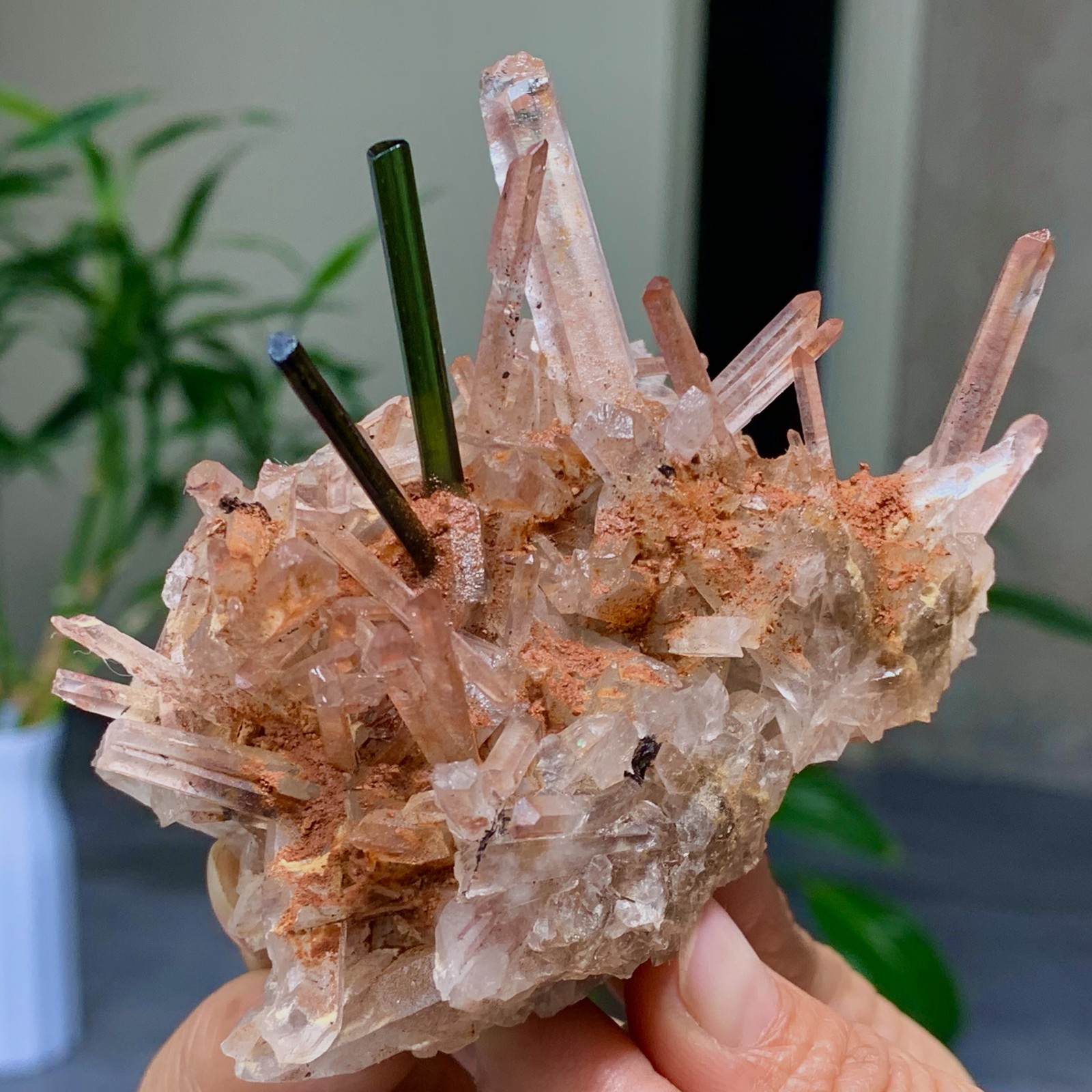 229G Natural Green tourmaline with quartz crystal cluster mineral specimen 229G Natural Green tourmaline with quartz crystal cluster mineral specimen