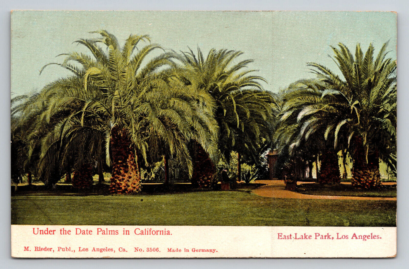 Los Angeles California East Lake Park Palms CA Postcard