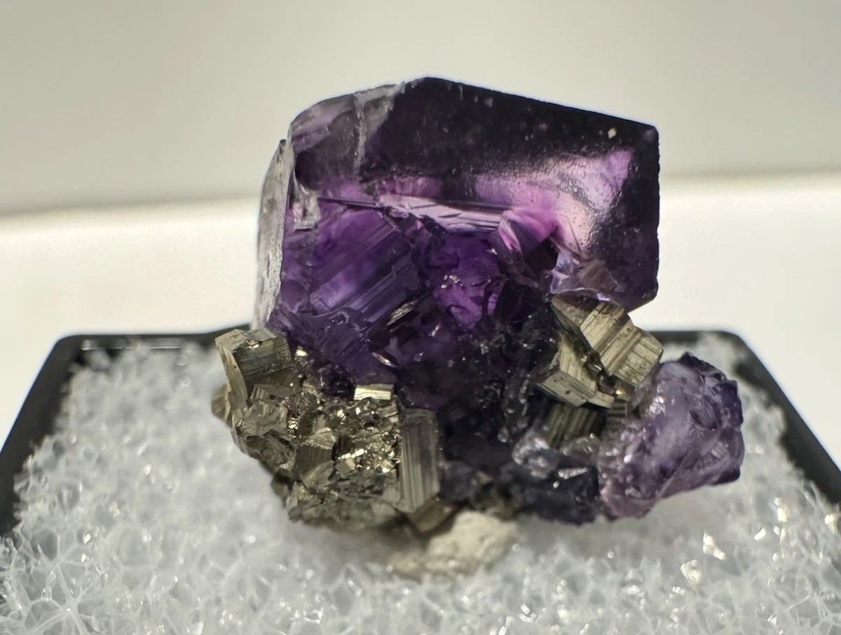 Purple Fluorite & Pyrite, Ojuela Mine, Mapimi, Durango, Mexico Purple Fluorite & Pyrite, Ojuela Mine, Mapimi, Durango, Mexico