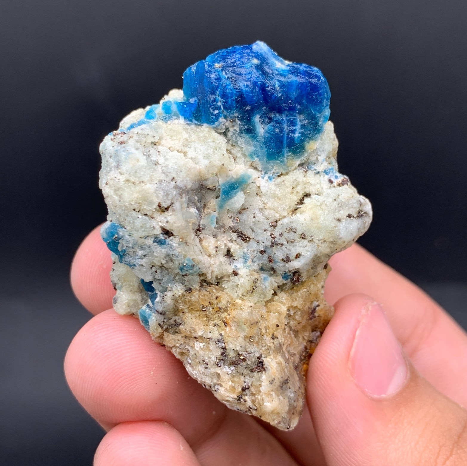 Vibrant Royal Blue Sodalite Crystal on Matrix Specimen - Kunar, Afghanistan Vibrant Royal Blue Sodalite Crystal on Matrix Specimen - Kunar, Afghanistan