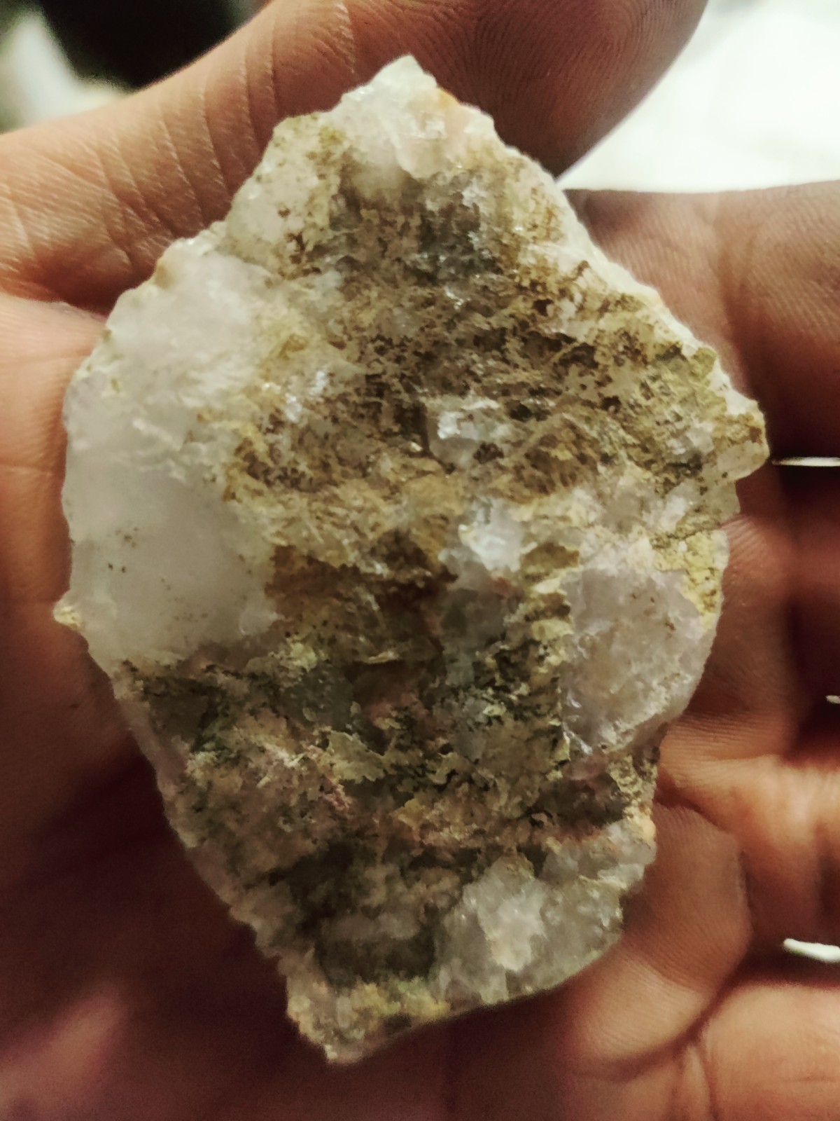 just a rock you can pretend it's a seed ok? But it's really just a rock from Col just a rock you can pretend it's a seed ok? But it's really just a rock from Col