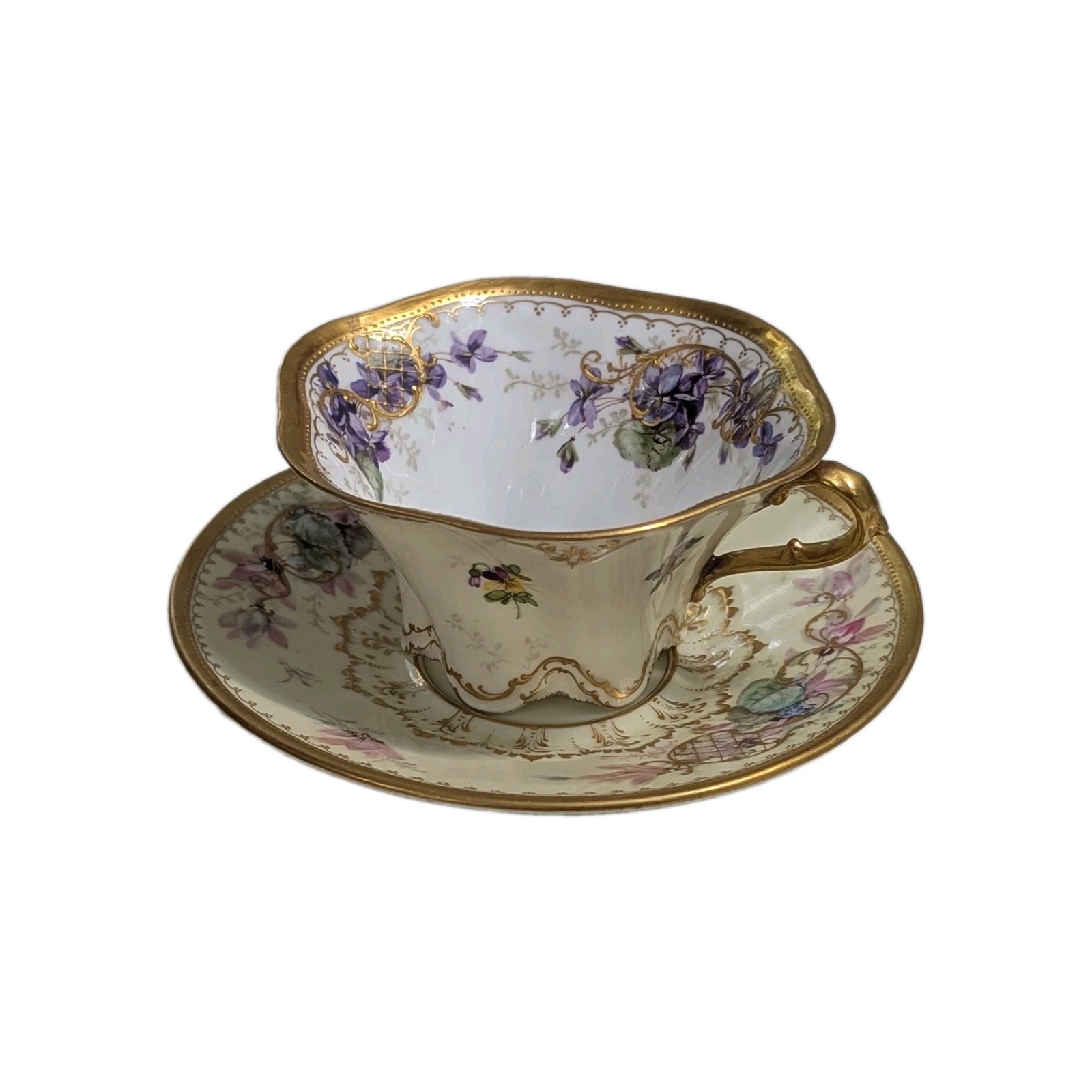 Antique Dresden Lamb Fine Bone China Floral Tea Cup & Saucer