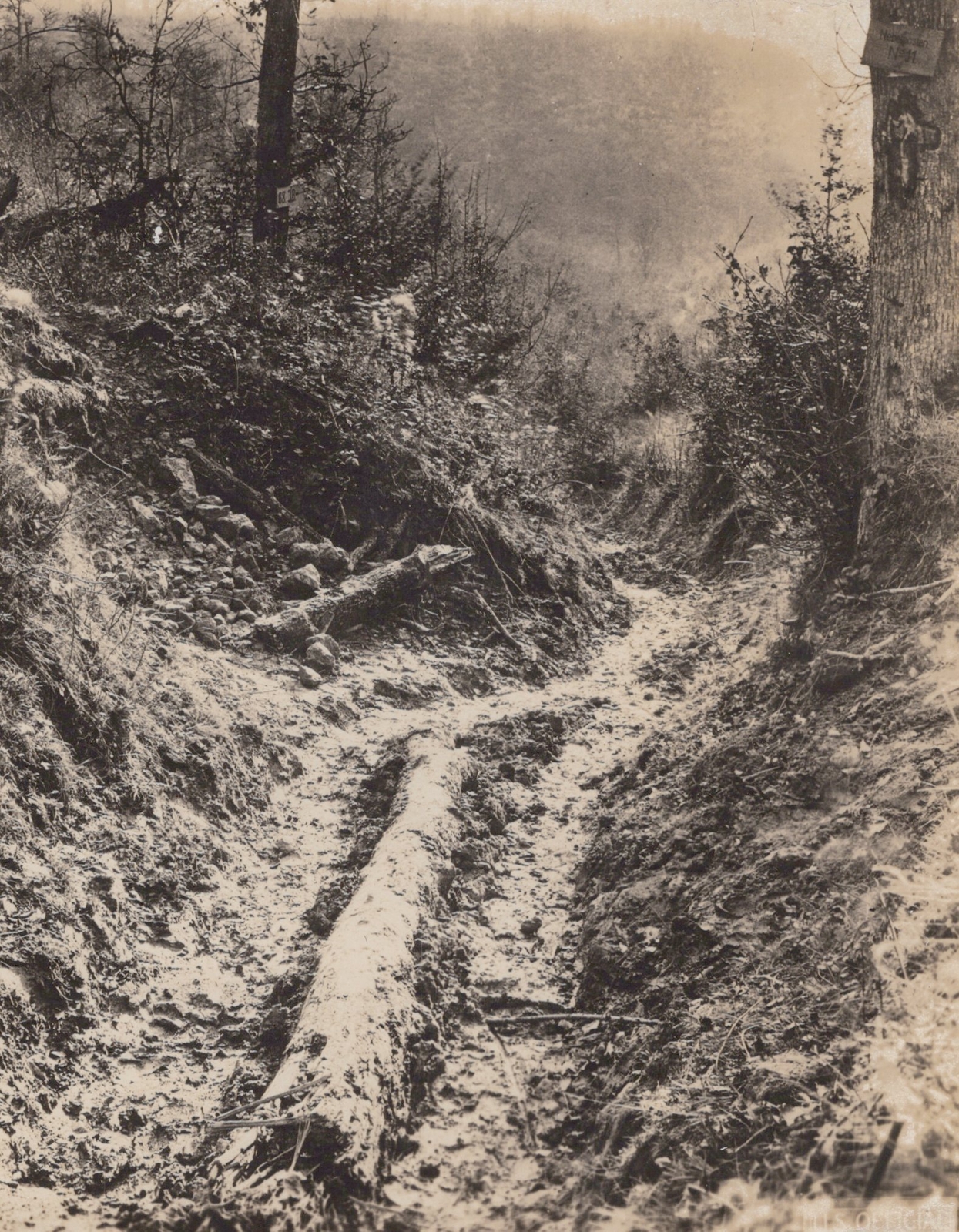 WW1 US AEF Official 1910s Trench Scene European Battlefield Mud WWI Photo