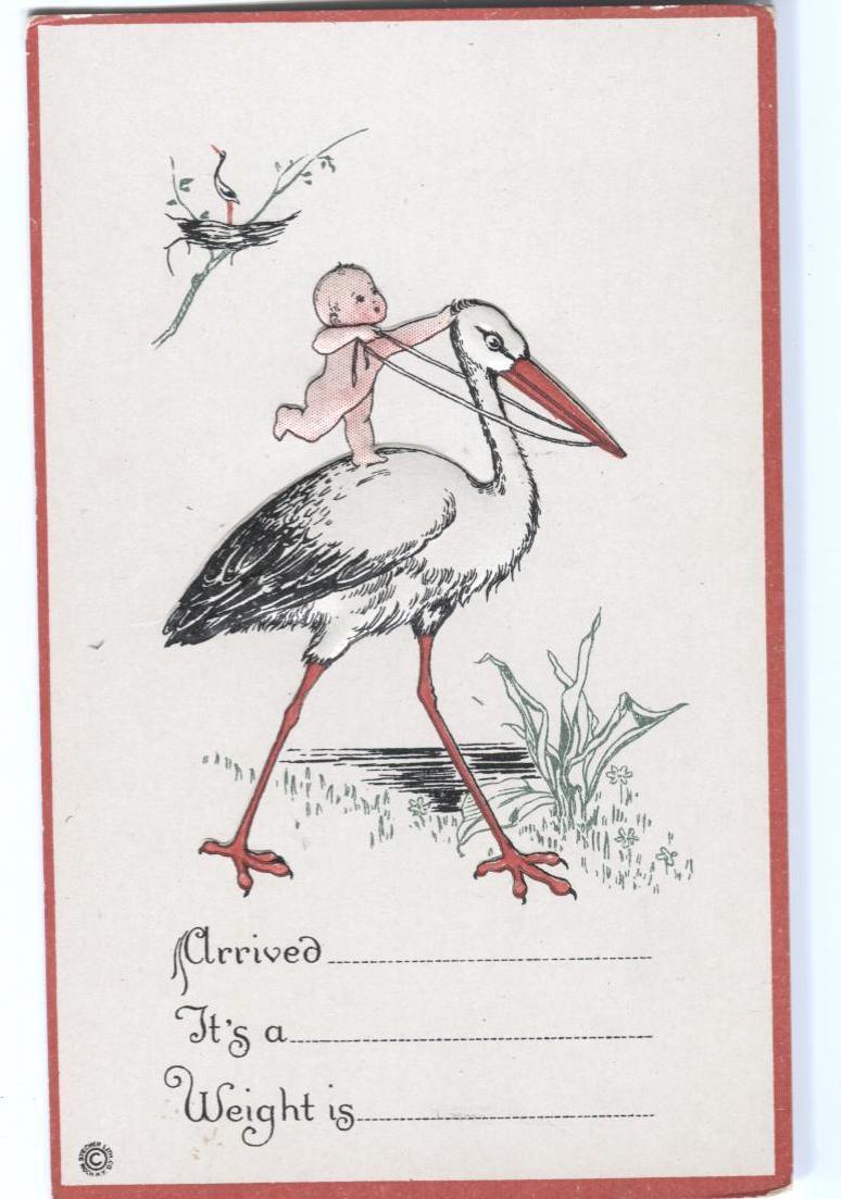 Postcard Baby Riding a Stork Birth Announcement 