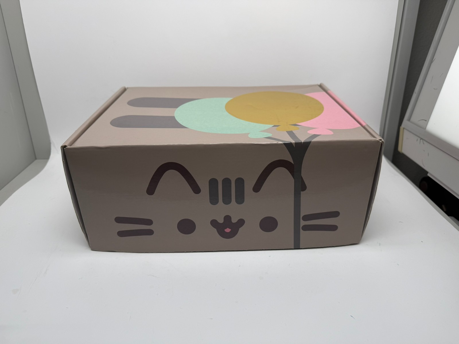Pusheen Box Spring 2018 (Incomplete) Pusheen Box Spring 2018 (Incomplete)