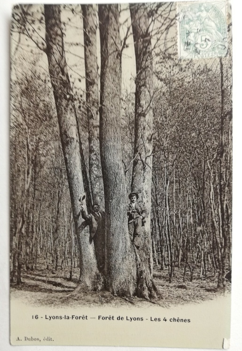 Ancient Postcard Lyons-la-Forêt Lions Forest 4 Oaks