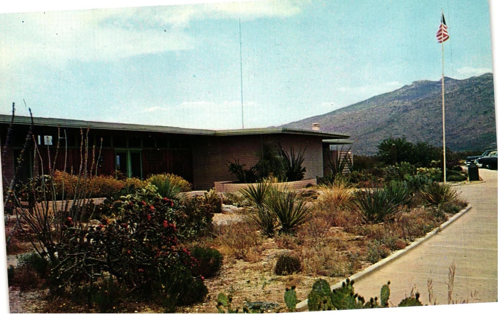 Vintage Postcard- VISTORS CENTER, SAGUARO NATIONAL MONUMENT, TUCSON, AZ. 1960s