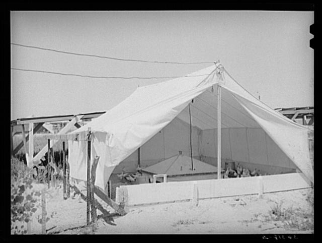 Photo:Casa Grande Arizona 1930s Farm Security Administration Tent Camp