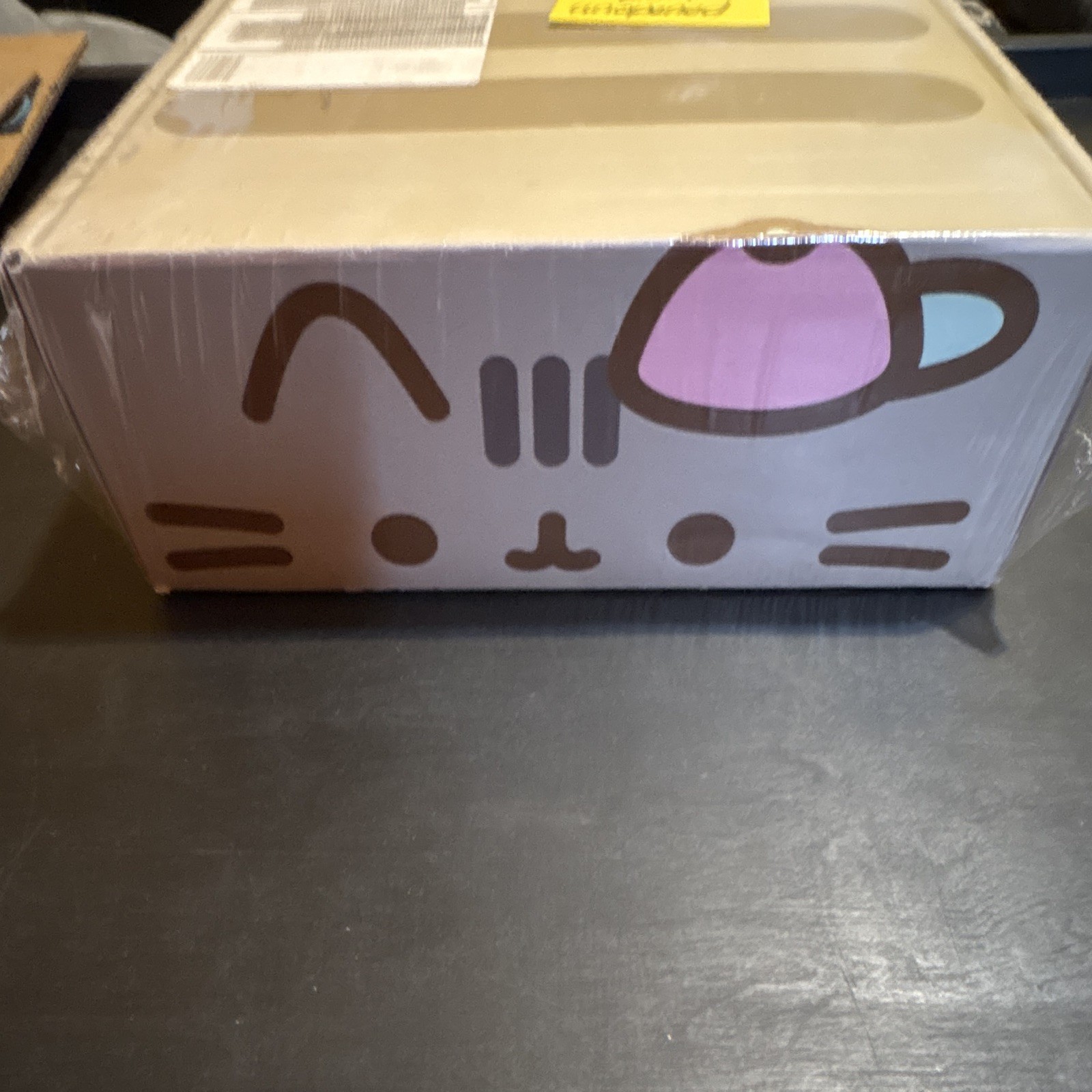 Unopened Pusheen Box 2019 Spring Subscription Box XL, Pusheen Character Unopened Pusheen Box 2019 Spring Subscription Box XL, Pusheen Character