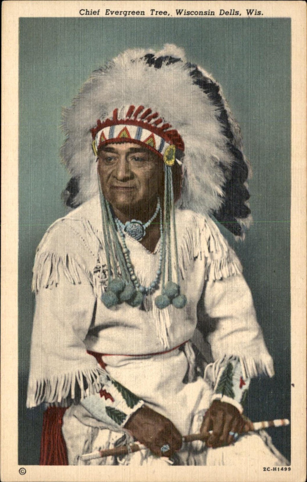 Wisconsin Dells WI Chief Evergreen Tree c1940s-50s Vintage Postcard Wisconsin Dells WI Chief Evergreen Tree c1940s-50s Vintage Postcard