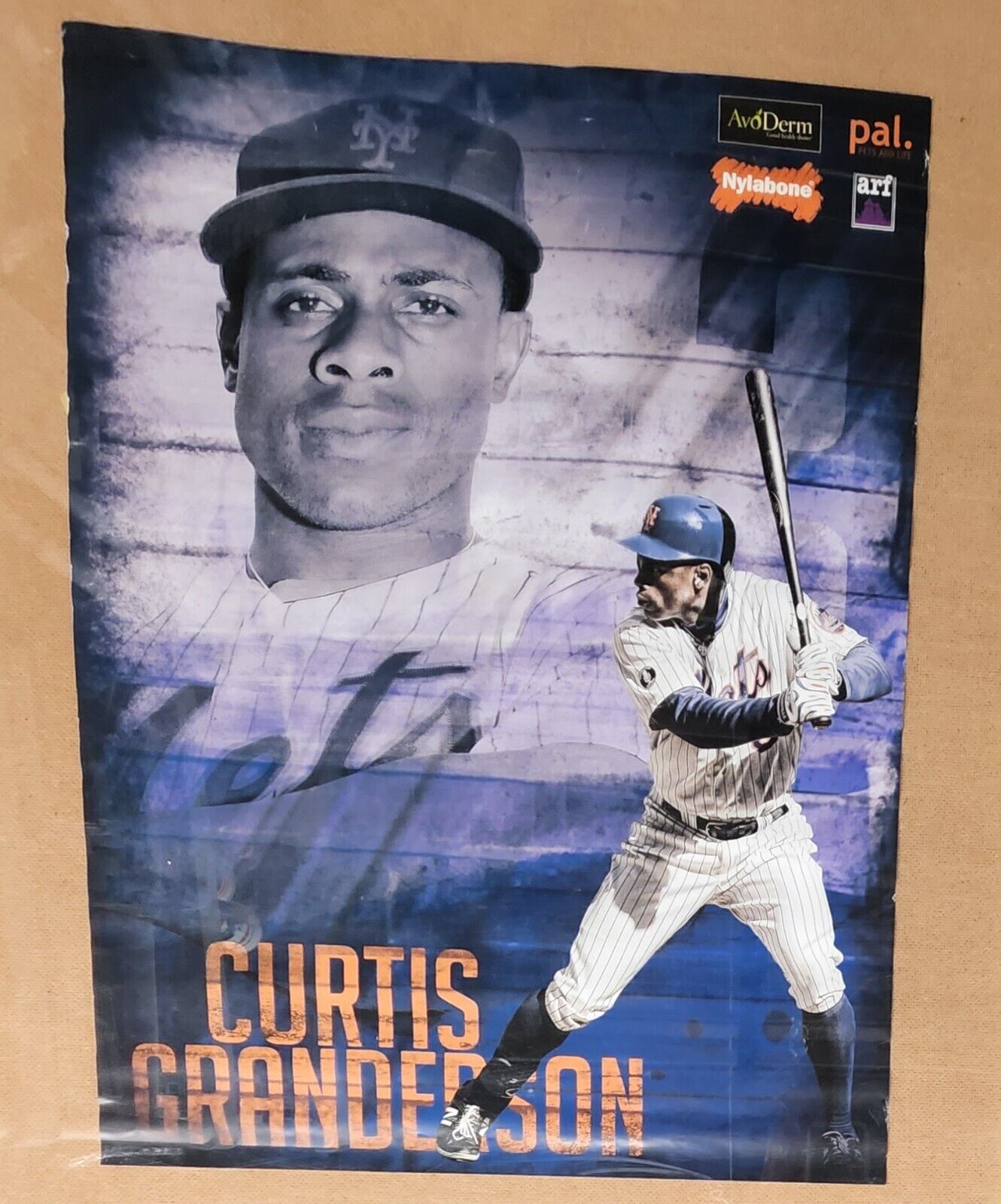 RARE 2014 Mets Citi Field SGA Curtis Granderson 18X24 Stadium Giveaway Poster 