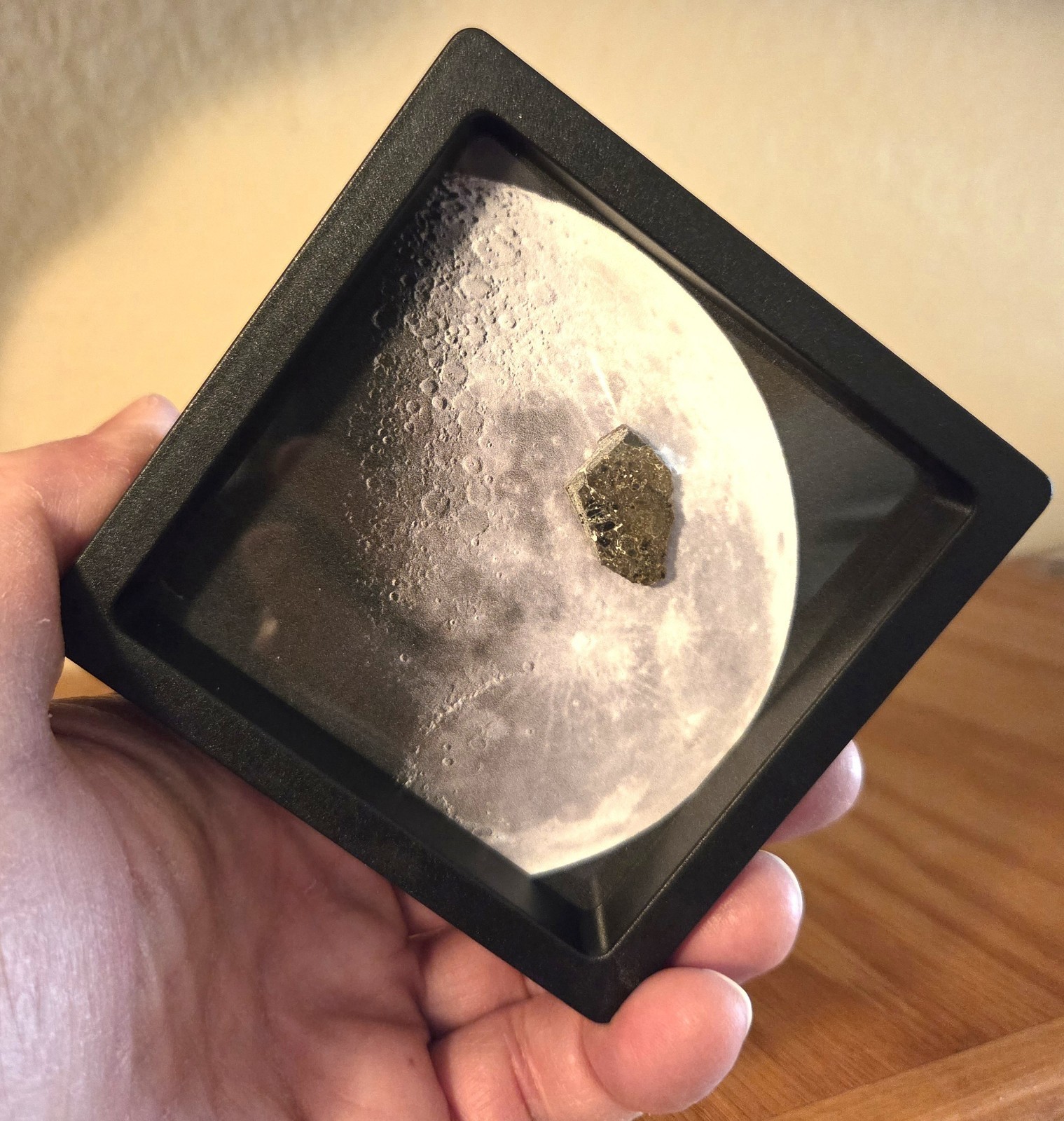 Museum Moon Rock Display. Jumbo Lunar Meteorite. Ltd Edition w/Authenticity Card
