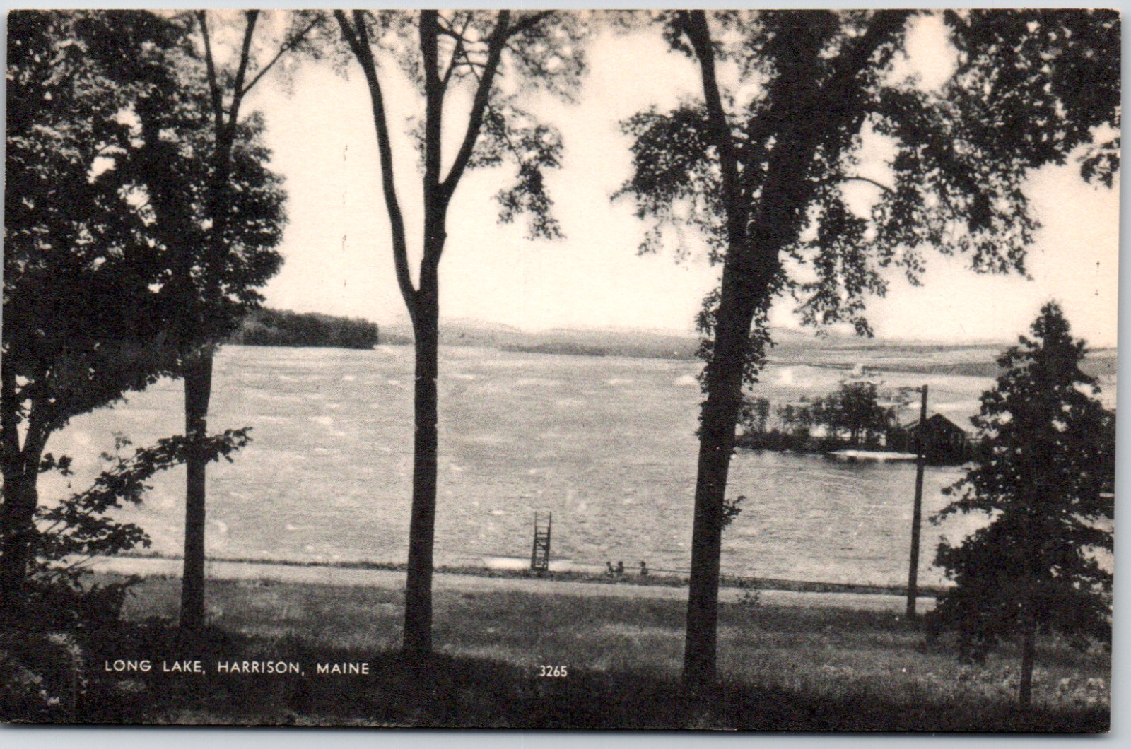 Harrison Maine ME Long Lake Swimming Dock Island Trees View Vintage Postcard Harrison Maine ME Long Lake Swimming Dock Island Trees View Vintage Postcard