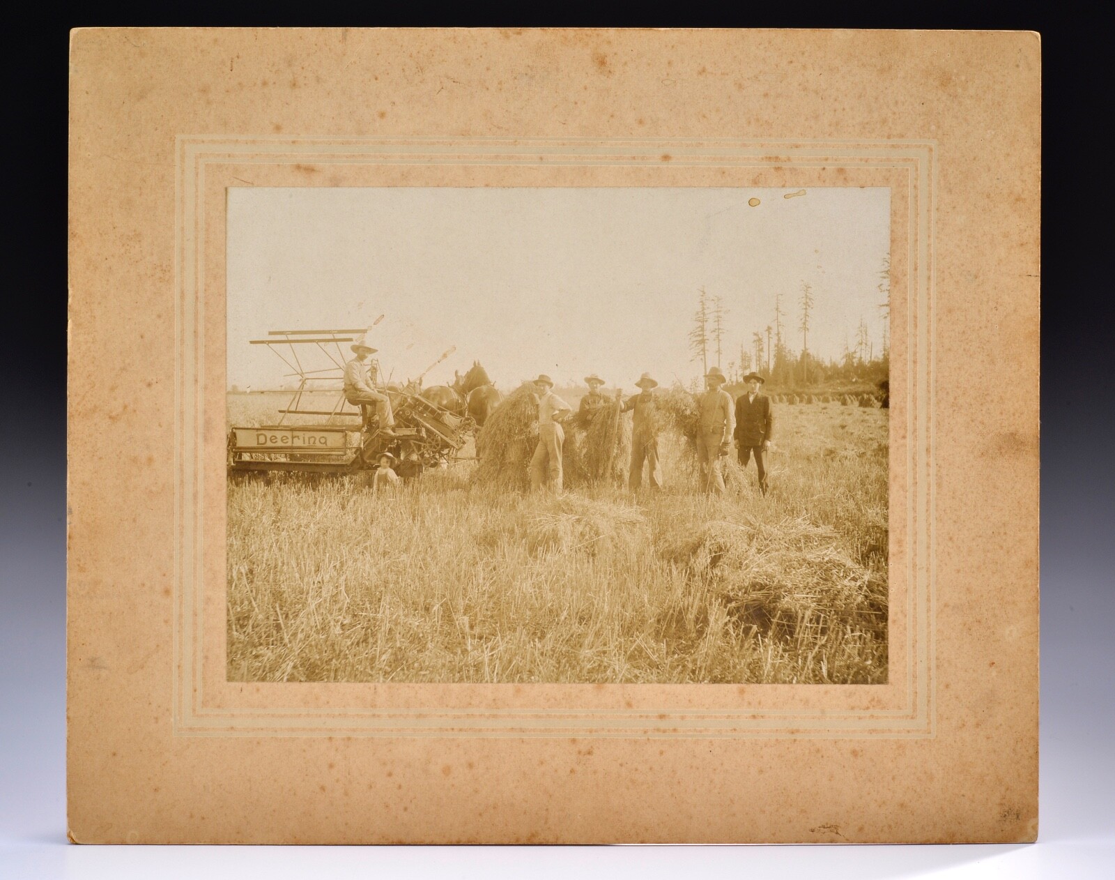 Deering Tractor Photo c1900 Grain Reaper Farmer 11.75\ Deering Tractor Photo c1900 Grain Reaper Farmer 11.75\