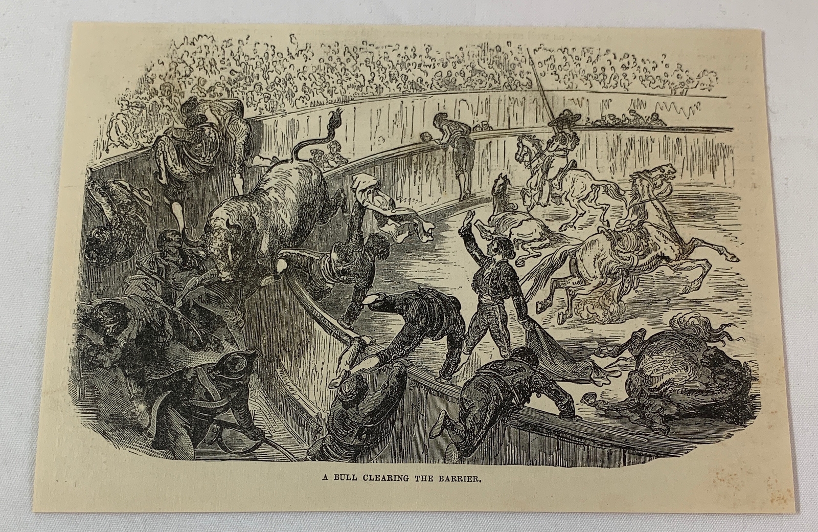 1878 magazine engraving ~ BULL CLEARING THE BARRIER Bullfighting, Spain 1878 magazine engraving ~ BULL CLEARING THE BARRIER Bullfighting, Spain